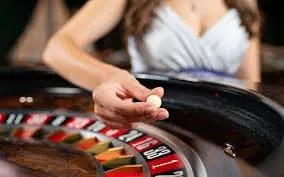 bet355 What We Offer at Blackjack Winner's Table